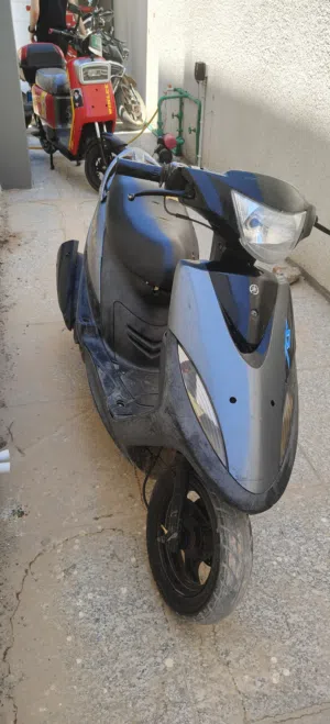 ماكس عدله بلاديه ما مفتوح