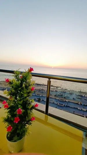 شقق فندقيه ميامي أمام بير مسعود