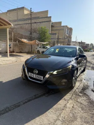 التيما فول