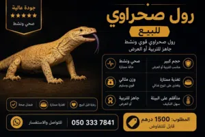 للبيع حيوان بري (تربيه)