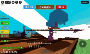 حساب كاندي بلوسم  candy blossom account