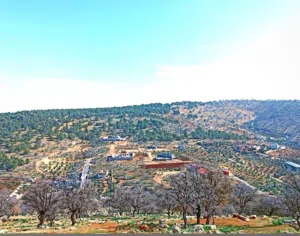 Farm Land for Sale in Zarqa Al-Alouk