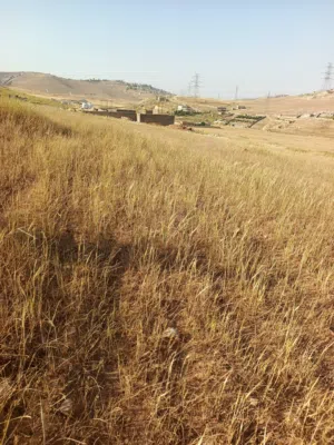 قطعة أرض للبيع بسعر مغري
