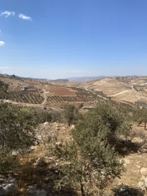 Mixed Use Land for Sale in Zarqa Al-Kamsha