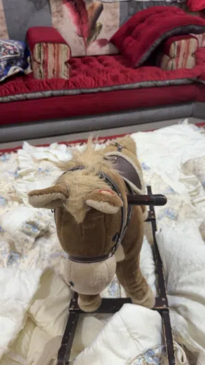 حصان حق اطفال