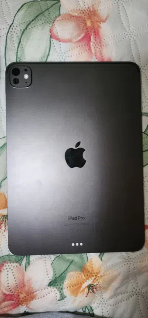 M4 ipad pro(11 inch)