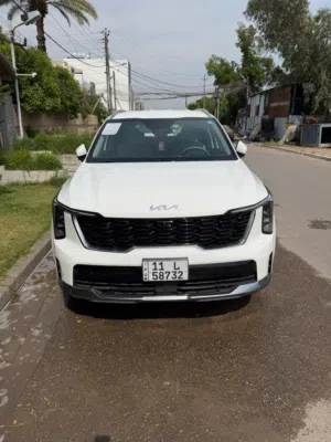 سورنتو ضمان دولية