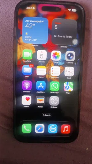 iPhone 16 Pro Max 256GB for Sale