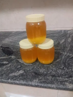 سمن بقر شغل الوادي وشغل امهاتنا الاوليات للتواصل ع الرقم الموجود في الاعلان