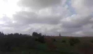 ارض للبيع الزاويه في منطقة بئر القلالي