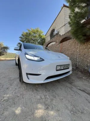 Tesla model y long range 2022