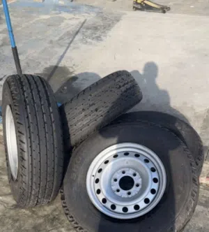 تواير شواهين مع الرنقات استخدام أسبوعين