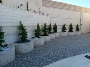 ‏أخرى‏2