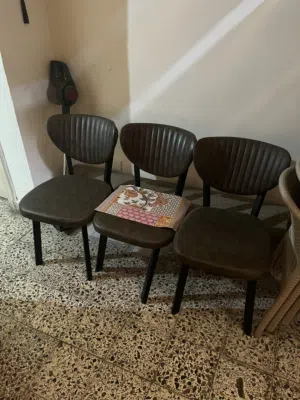 تخم قنفات تركي