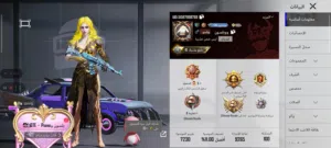 للبيع حساب ببجي