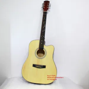 Brand New Guitar For Beginners