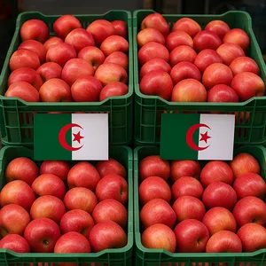 Vegetable & Fruit0