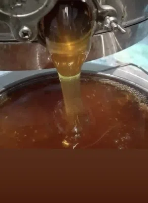 مناحل وعسل الشمال