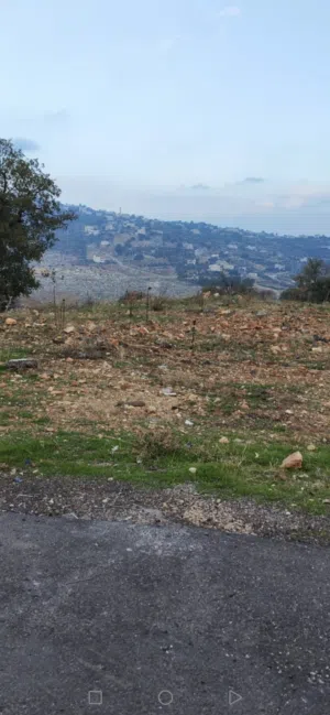 Residential Land for Sale in Amman Badr Jdedeh