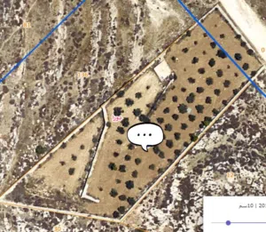 ارض طابو في دورا .. سعر ممتاز