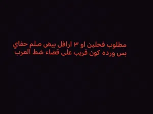 مطللللوب ارافل فحله بيض