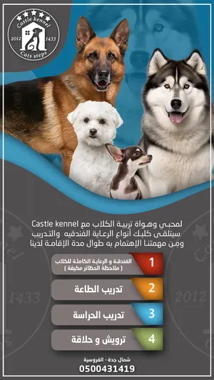 ‏ترويض وتدريب ‏.‏ تدريب كلاب‏1
