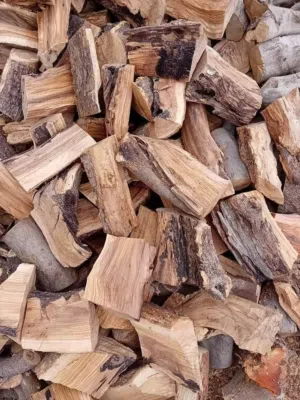 جميع انواع الحطب ناشف وقص الشجار عالي وشراء جميع الحطب