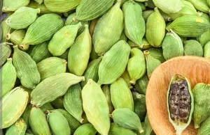 Others - Food - Supplements4