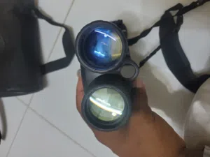 دربيل ليلي روسي