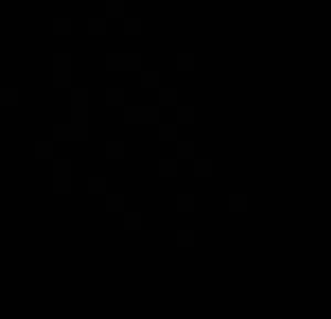 عبدالله N 222