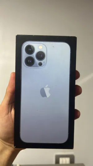 iPhone 13 Pro Max 256G