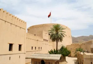 ناهد فؤاد 