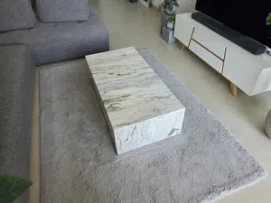 Marble coffee table