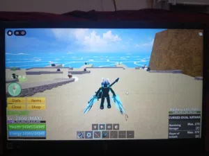 حسابات  بلوكس فروت