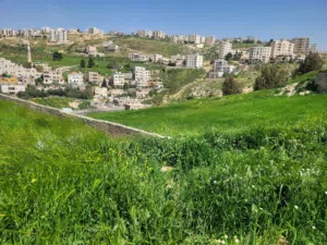 أرض بسعر لقطة في الكمالية - صويلح للبيع
