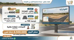 ارض فى القوارشة شارع الشجر