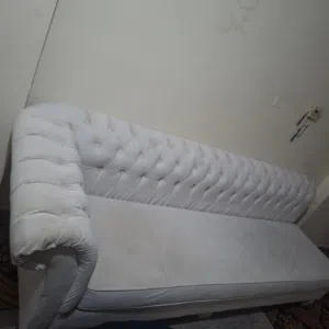 مجالس ركانه
