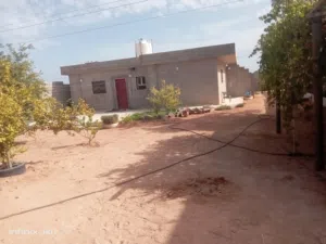 منزل 12 في 12 ربط