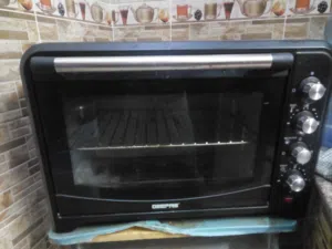 Electric oven