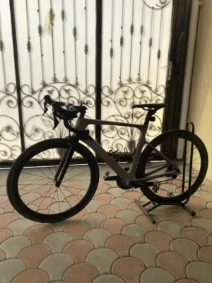 paradus full carbon for sale