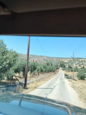 للبيع 3500 م حوض السناد مزروعة كامل وخدمات قبل المعسكر