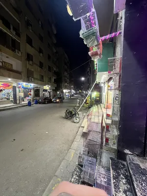74 m2 . Landlord2