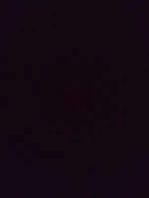 مطلوب فروج سبرايت انيق