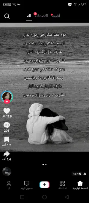 امين عمرو 
