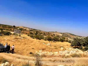 أرض للبيع في محافظة عجلون - صخرة