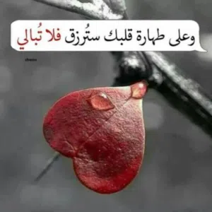 s.abdullah 