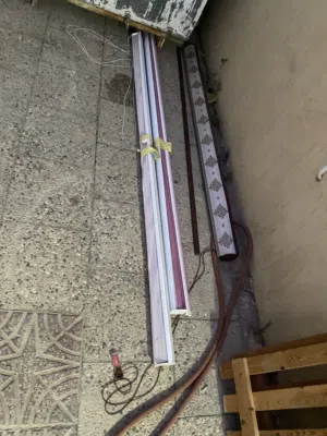 برادي زيبرا عدد3