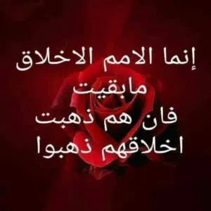 ابو عبيده 