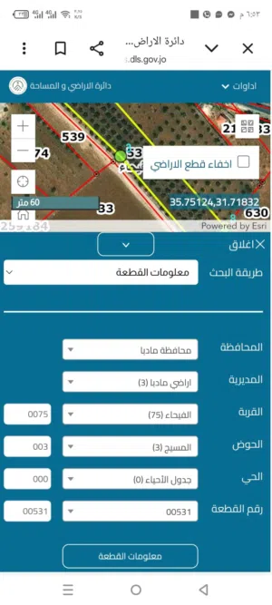 Farm Land for Sale in Madaba Al-Fayha'