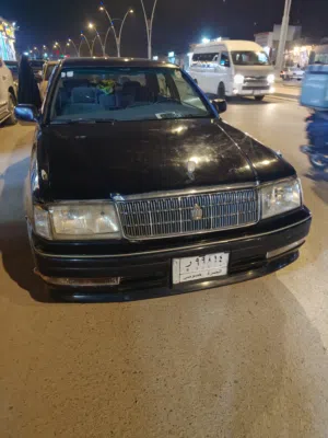 راس الثور للبيع بسعر مناسب